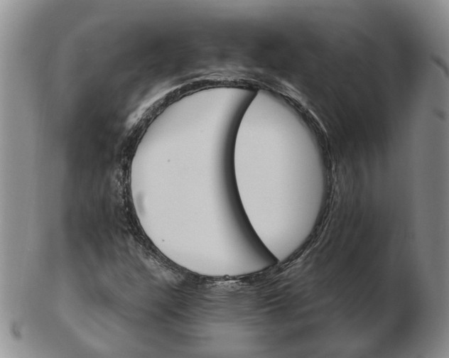 X0000102771304200809021021