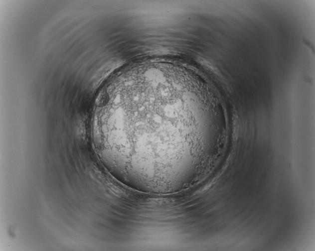 X0000102771305200809021021