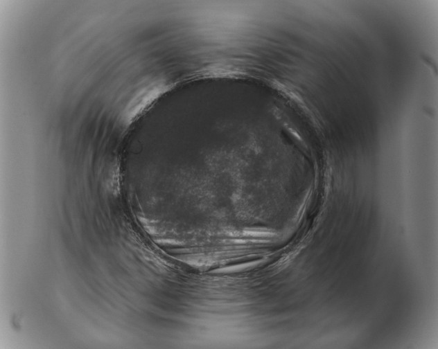 X0000102771306200809021021