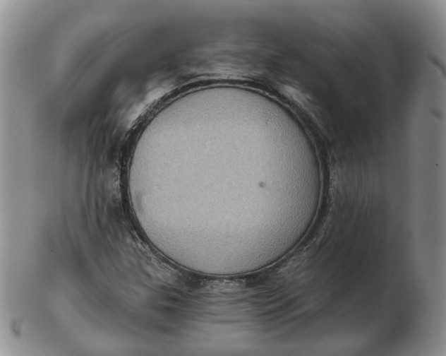 X0000102771307200809021021