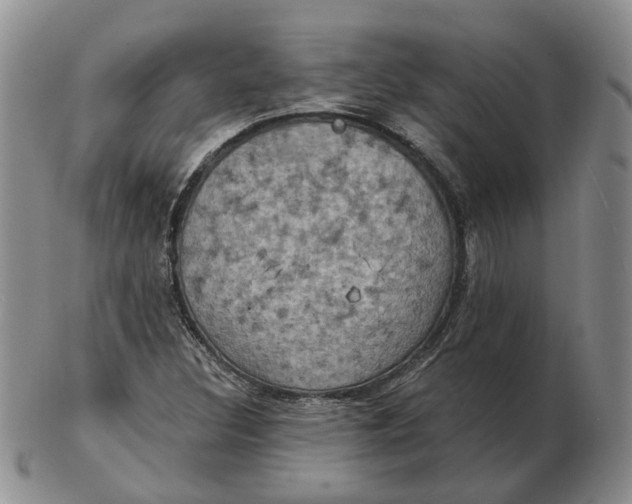 X0000102771308200809021021