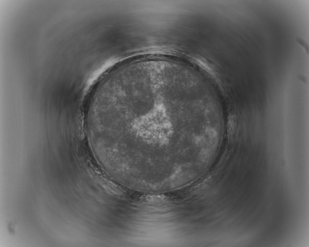 X0000102771310200809021021