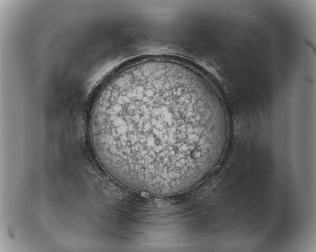 X0000102771311200809021021