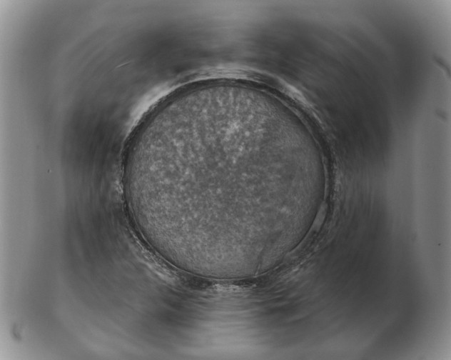 X0000102771312200809021021