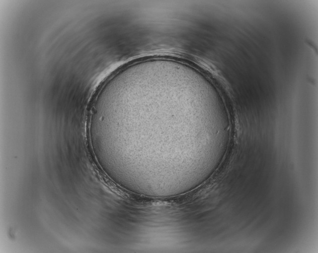 X0000102771316200809021021