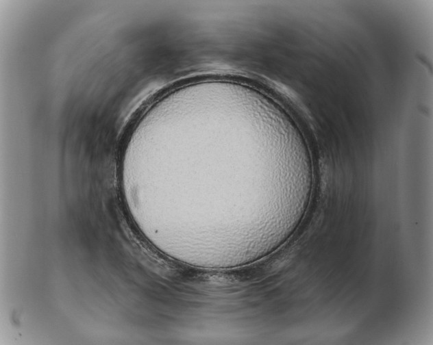 X0000102771318200809021021