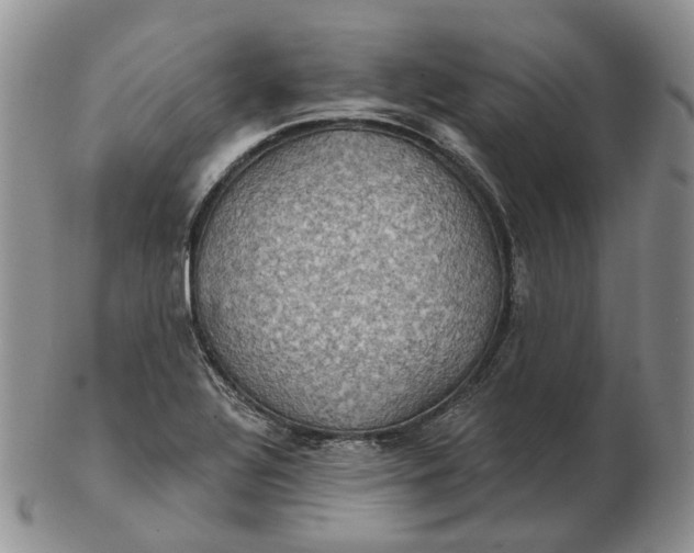 X0000102771320200809021021