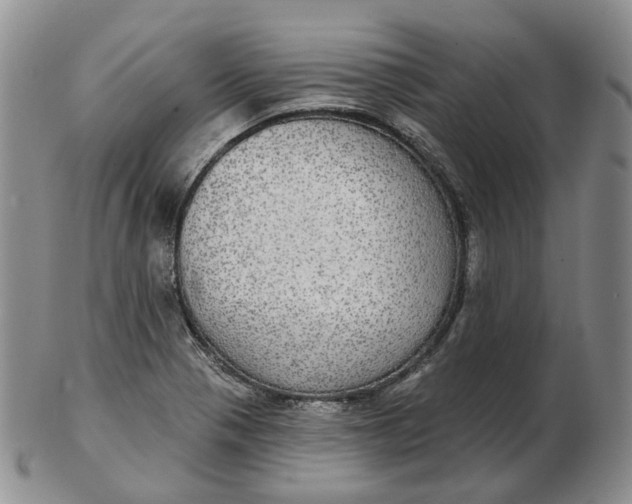 X0000102771321200809021021