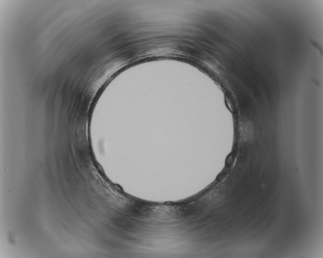 X0000102771322200809021021