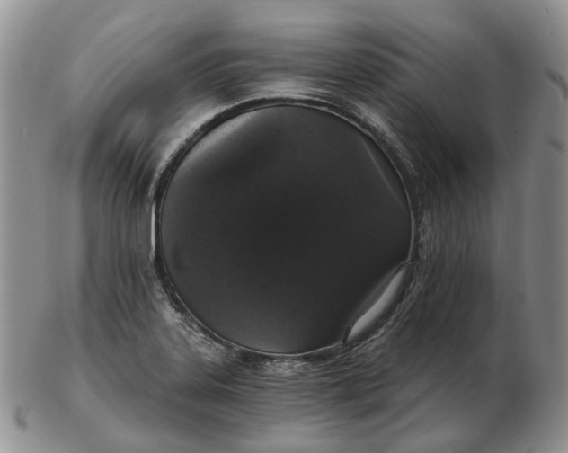 X0000102771323200809021021