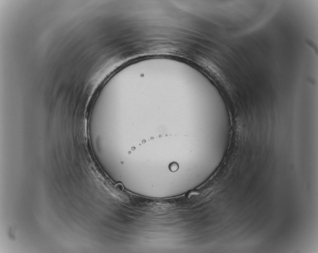 X0000102771324200809021021