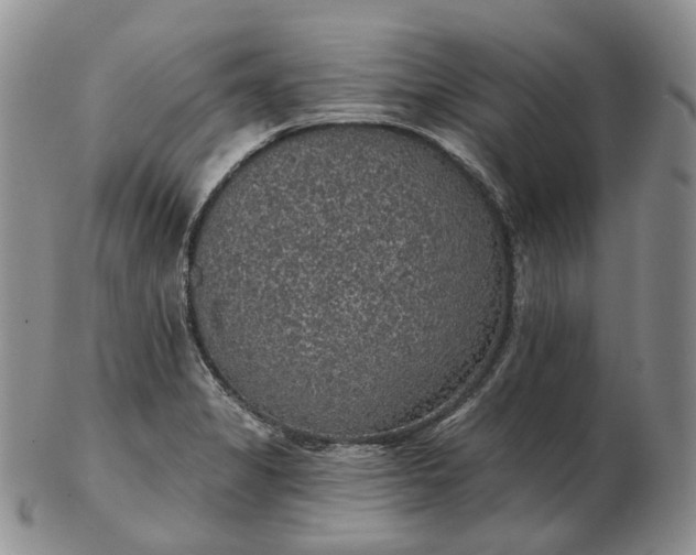 X0000102771325200809021021