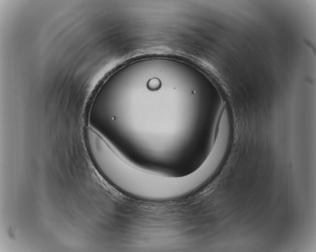 X0000102771326200809021021