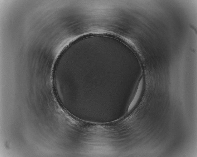 X0000102771327200809021021