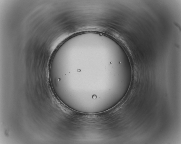 X0000102771328200809021021