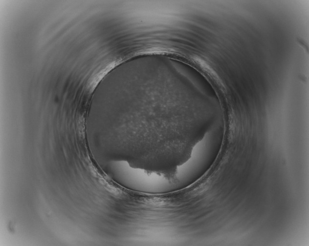 X0000102771329200809021021