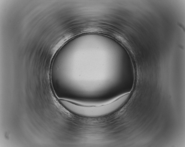 X0000102771330200809021021