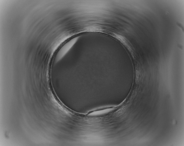 X0000102771331200809021021