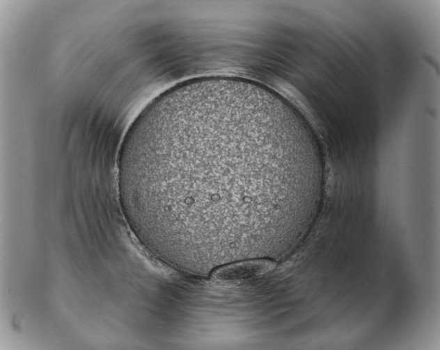 X0000102771332200809021021