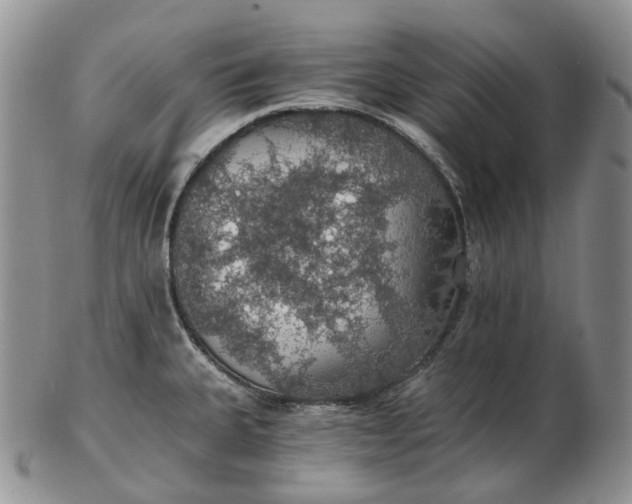 X0000102771335200809021021