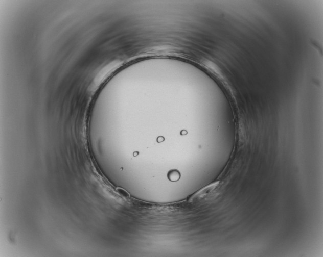 X0000102771336200809021021