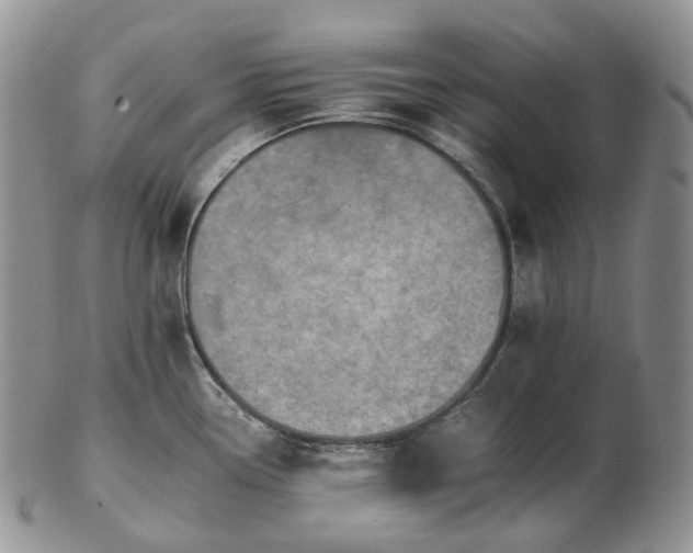 X0000102771338200809021021