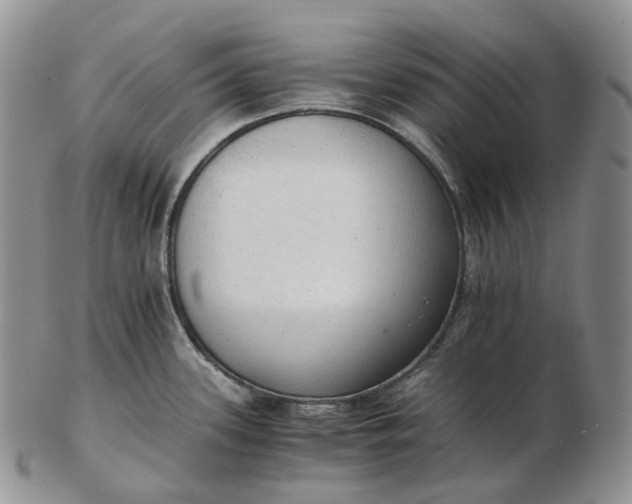 X0000102771339200809021021