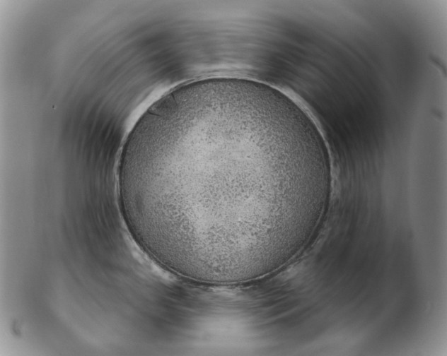 X0000102771341200809021021