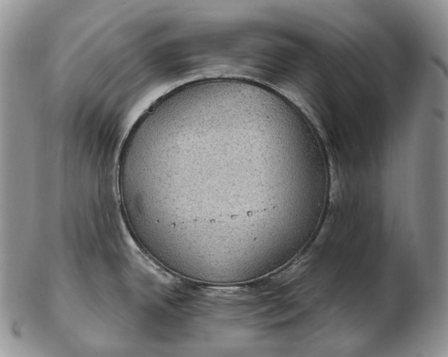 X0000102771342200809021021