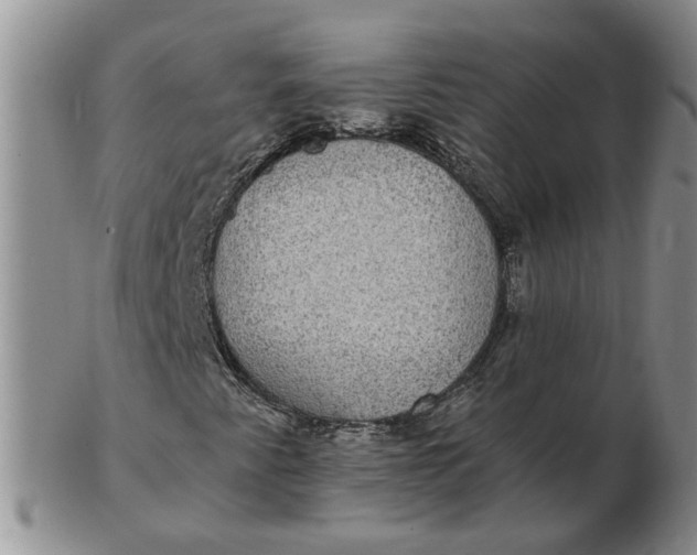 X0000102771345200809021021