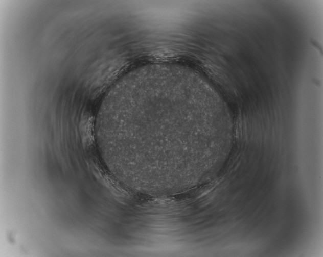 X0000102771346200809021021