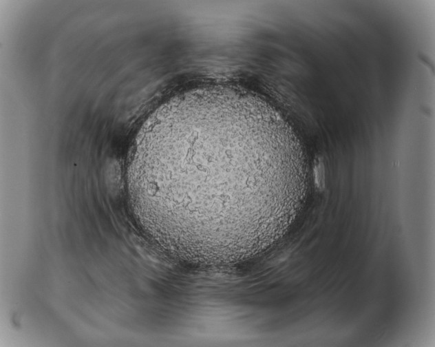 X0000102771347200809021021