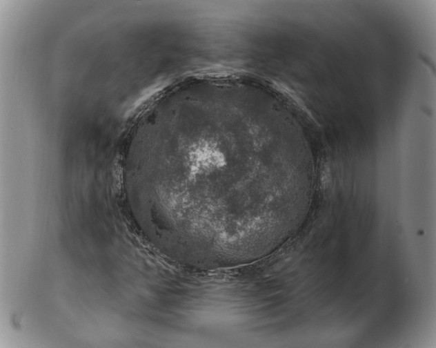 X0000102771350200809021020