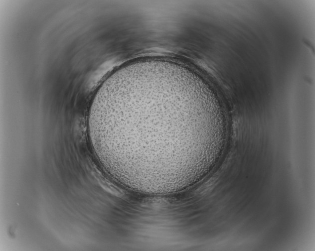 X0000102771355200809021020