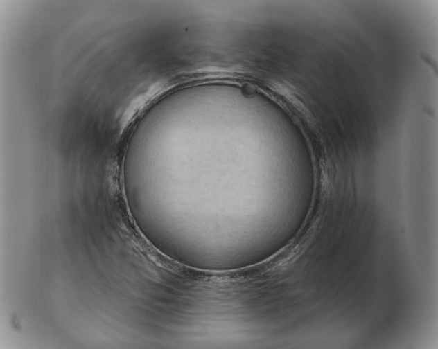 X0000102771357200809021020