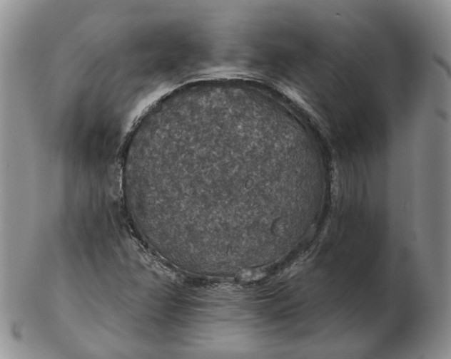 X0000102771358200809021020