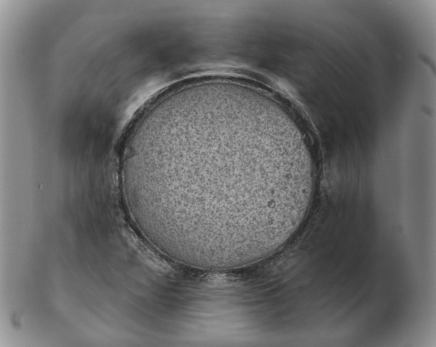 X0000102771360200809021020