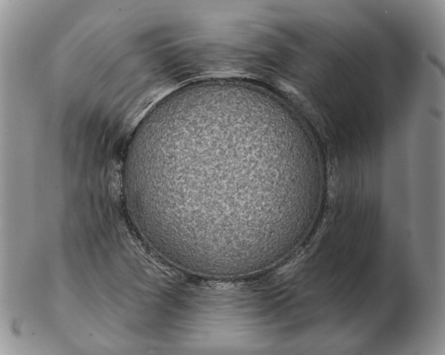 X0000102771361200809021020