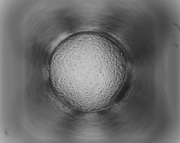 X0000102771363200809021020