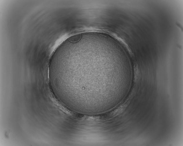 X0000102771365200809021020