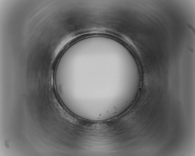 X0000102771368200809021020