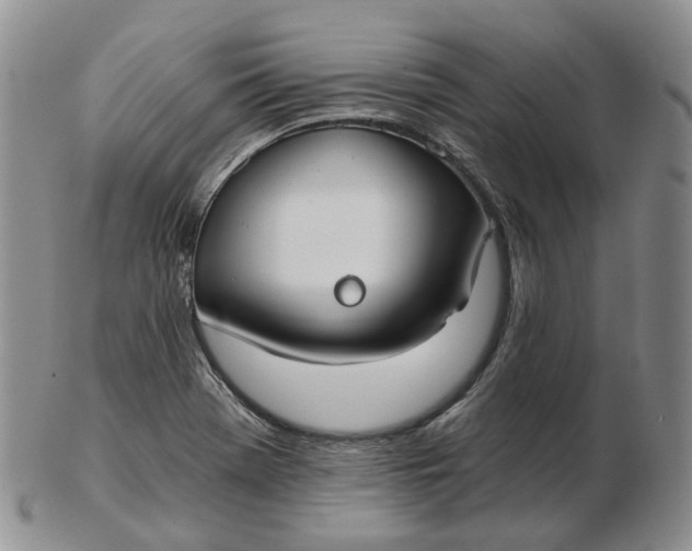 X0000102771369200809021020