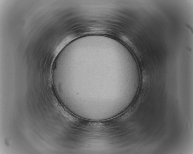 X0000102771370200809021020