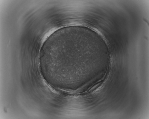 X0000102771373200809021020