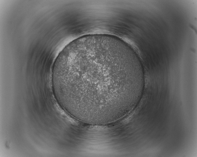 X0000102771374200809021020