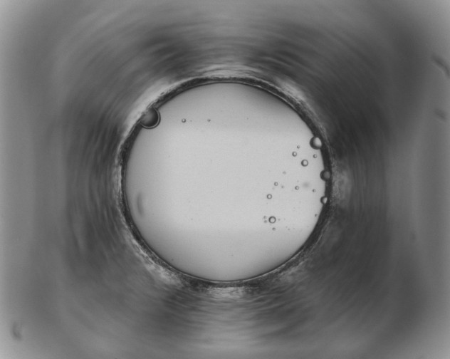 X0000102771376200809021020