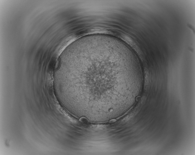 X0000102771377200809021020