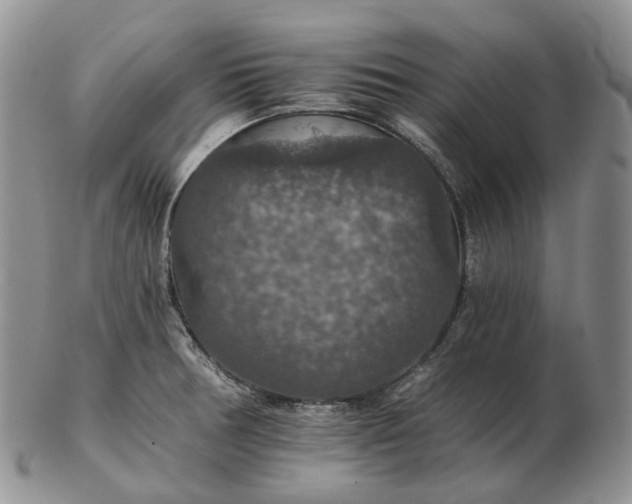 X0000102771378200809021020