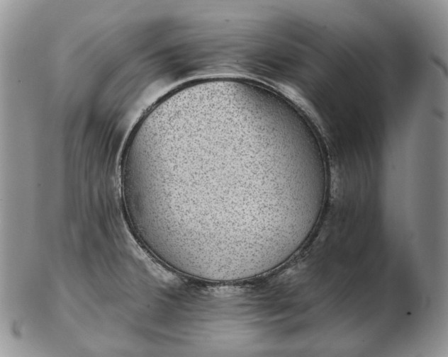 X0000102771380200809021020