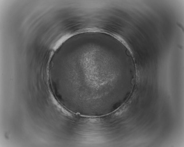 X0000102771381200809021020